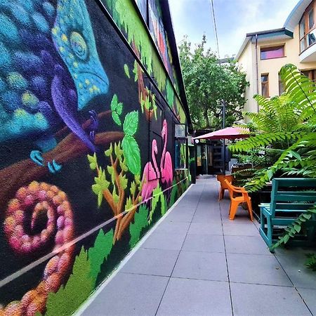 تشيسيناو Tapok Hostel المظهر الخارجي الصورة