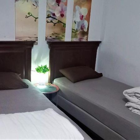 تشيسيناو Tapok Hostel المظهر الخارجي الصورة
