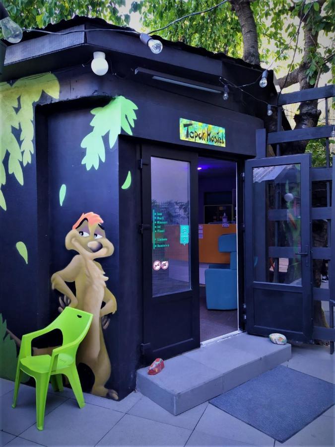 تشيسيناو Tapok Hostel المظهر الخارجي الصورة